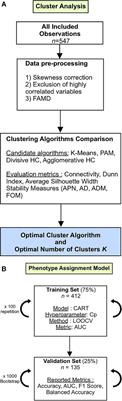 Interpretable clinical phenotypes among patients hospitalized with COVID-19 using cluster analysis